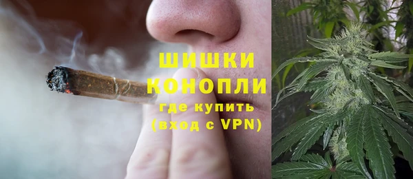 молекула духа Переславль-Залесский