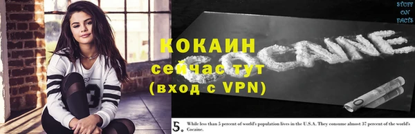 молекула духа Переславль-Залесский