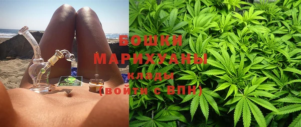молекула духа Переславль-Залесский
