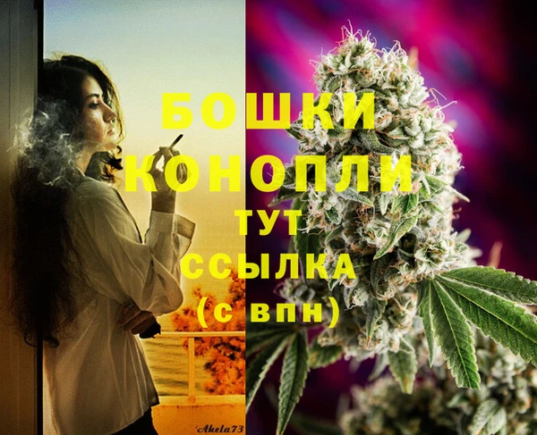 дурь Пересвет