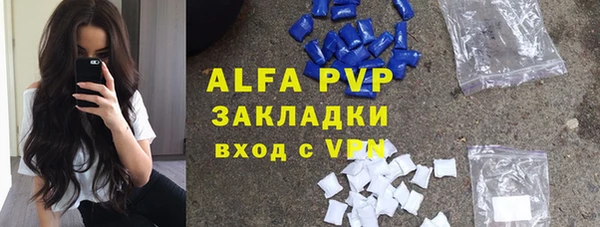 дурь Пересвет