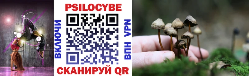 где можно купить Безенчук Галлюциногенные грибы ЛСД